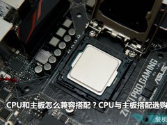 CPU和主板怎么兼容搭配？CPU与主板搭配选购技巧