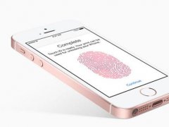 iPhone用Touch ID指纹识别比密码更安全？