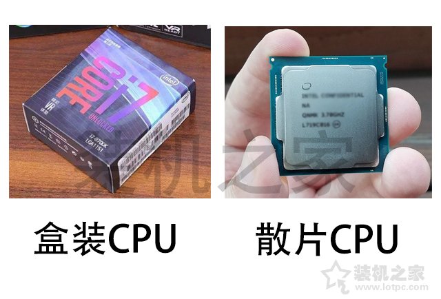 intel中文盒装和英文盒装、散片CPU的区别对比科普 装机值得一看！